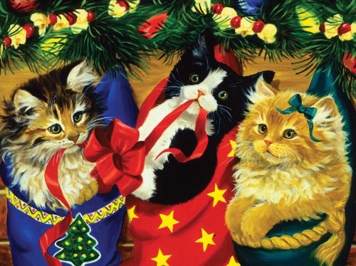 Stocking Kittens Stocking Kittens
