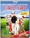 Girls Team - 9 Models und 1 Coach [Blu-ray]