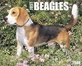 Beagles 2009 Wall Calendar