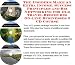 Book The Insider's Make An Extra Income, Success Principles and Biz Networking for Old Travel Brochures On-line Businesses 3 CD Course