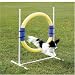 Petsafe Ring Jump