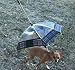 Pet Umbrella (Dog Umbrella) - Keeps Your Pet Dry and Comfortable in Rain, Sleet or Snow