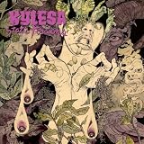 Static Tensions by Kylesa