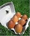 Good Eggs - natural wood eggs in a recyclable carton