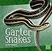 Garter Snakes (First Facts)