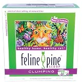Feline Pine Scoop Cat Litter, 10.1-Pound Box