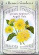 Sunflower Angel's Halo Seeds 30 Seeds