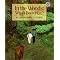 Great books for teaching about inferences