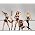 Vignette de The Pussycat Dolls
