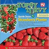 Topsy Turvy Strawberry Planter