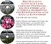 acid_reflux23acid reflux - The Guerilla Marketing Building Effective Lead Capture Web
