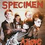 Kiss Kiss Bang Bang (12" version)