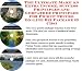 The Best Generate Extra Cash, Marketing and Inner Game for Pickup Trucks On-line Busi...