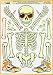 Halloween Skeleton Cling - Glow in the Dark Skeleton Clings