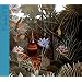 Music for Flute [Box Set]