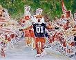 Auburn Painting - Auburn Tiger Walk