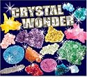 Tree of Knowledge Crystal Wonder Crystal Growing Kit