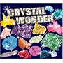 Tree of Knowledge Crystal Wonder Crystal Growing Kit