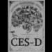 CES Depression Scale