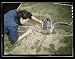 Photo Camouflage class at New York University, where men and women are preparing for jobs in the Army or in industry,