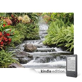 4 Unorthodox Ways To Make Money From Home (Kindle Edition)
