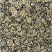 Natural Stone 12" x 12" Granite Tile in Baltic Brown
