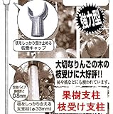 枝受け支柱 果樹支柱 φ33×2400mm 10本セット 【枝受けホルダー・ストッパー 各10個付】