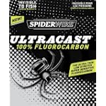 Spiderwire 110