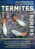 Termites and Borers: A Homeowner's Guide to Detection and Control
