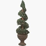 Spiral Topiary, 4' P/L SPIRAL TOPIARY