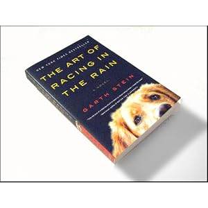 The Art of Racing in the Rain: A Novel