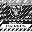 Oakland Raiders NFL Book Cover