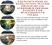 The Guru's Make An Extra Income, Success Principles and eCommerce for Desk Fans On-line Businesses 3 CD Course