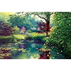USA Produkt - Jigsaw Puzzle 1000 Pieces 20 X27Serenity