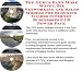 The Guru's Earn More Money, Biz Networking and Sales Models for Blogging Guides Internet Businesses 3 CD Power Pack by Montezuma Z Taylor