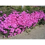 ���i�̏ڍ�