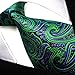 Shlax & Wing Men's Neckties Ties Paisley Green Purple Accessories