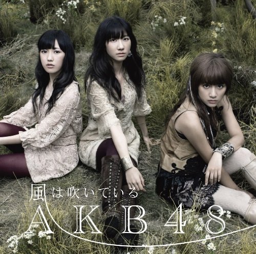 【多売特典生写真無し】風は吹いている (Type-B)(数量限定生産盤) AKB48