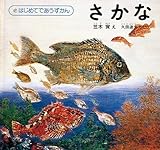 さかな (はじめてであうずかん 4）-