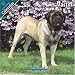 Mastiff 2010 Wall Calendar #10053-10