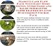 Massive Cash Flow Pack with Earn More Money, Inner Game and Sales Models for Cloth Diapers On-line Businesses 3 Course Pack
