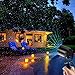 Christmas Projector Light, Arotek Green & Blue Aluminum Laser Christmas Star Light Show with RF Wireless Remote for Holiday Party Outdoor Landscape & Garden Decoration