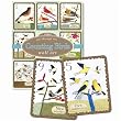 Counting Birds Number Cards Wall Art by eeBoo