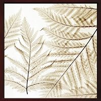 X-Ray PHOTOGRAPHY（レントゲンフォトグラフィー）ポスターフレーム Steven N.Meyers / Ferns I 630x630x30mm
