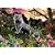 Ravensburger Puzzle - Look And Find White Tigers (1000 pieces)
