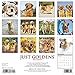 2016 Just Goldens Wall Calendar