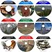 The Intensive  Nine CD No Money Down, Millionaire Making Real Estate Mastery Program
