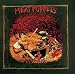 Meat Puppets
