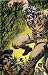 Complete Mike Grell's Jon Sable, Freelance Volume 7 (v. 7)
