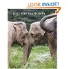 Just for Elephants